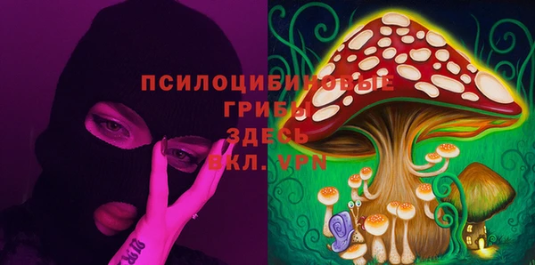прущие крисы Володарск