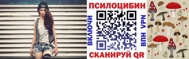 Купить где  Порхов  Галлюциногенные грибы мухоморы 